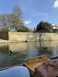 Cambridge 