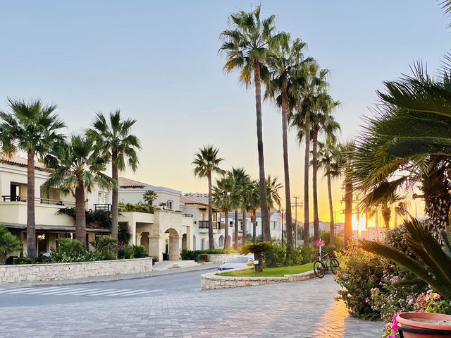 Paradise 🏖️