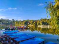 Baguio City: The City of Pines