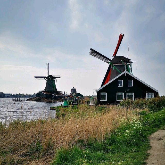 A Windmill Wonderland: A Day Trip to Zaanse Schans from Amsterdam