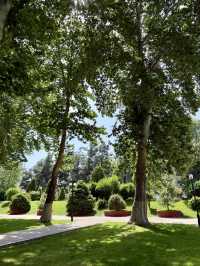 Springtime Bliss at Registan Park, Samarkand