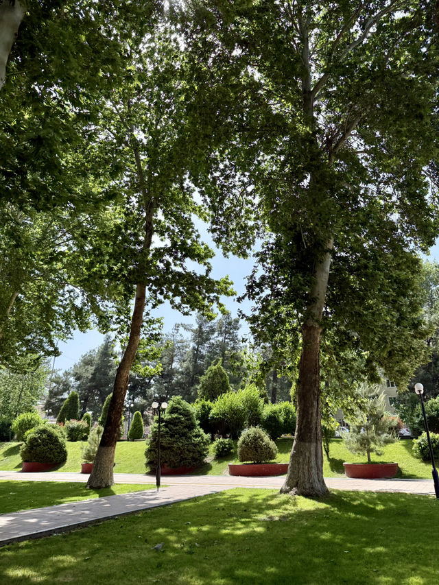 Springtime Bliss at Registan Park, Samarkand