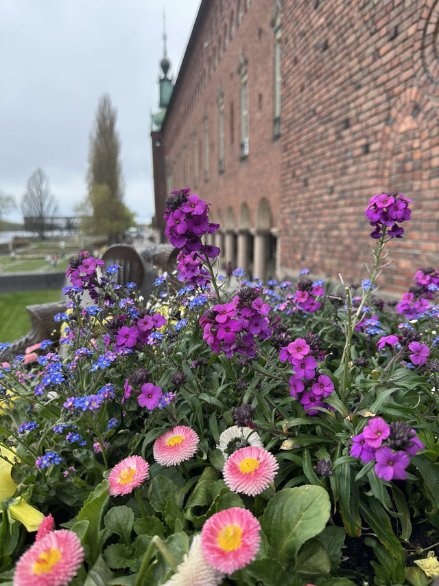 Must visit: Stockholm City Center!
