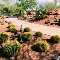 🚗🌵 Red Hills Desert Garden – The Perfect Scenic Stop Between National Parks 🦖🌺