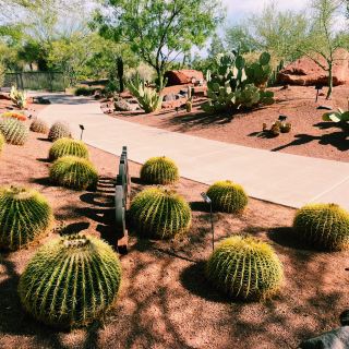 🚗🌵 Red Hills Desert Garden – The Perfect Scenic Stop Between National Parks 🦖🌺