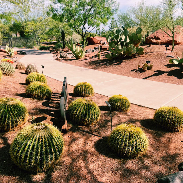 🚗🌵 Red Hills Desert Garden – The Perfect Scenic Stop Between National Parks 🦖🌺