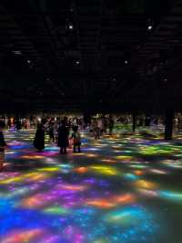 Step Into Another World at teamLab Planets Tokyo