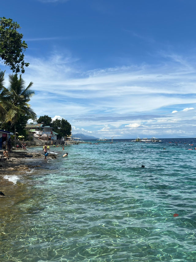 🏝️ 5 Days in Cebu: Whale Sharks, Island Hopping & Epic Snorkeling 🐢🌊🇵🇭