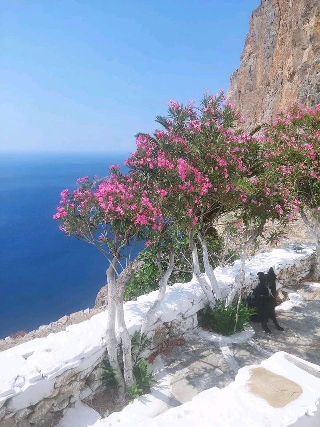 🏝️ Amorgos – Aegean Serenity Wrapped in Blue