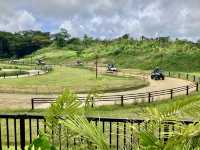 Junglia Okinawa Theme Park Review: A Paradise of Fun, Food, and Relaxation