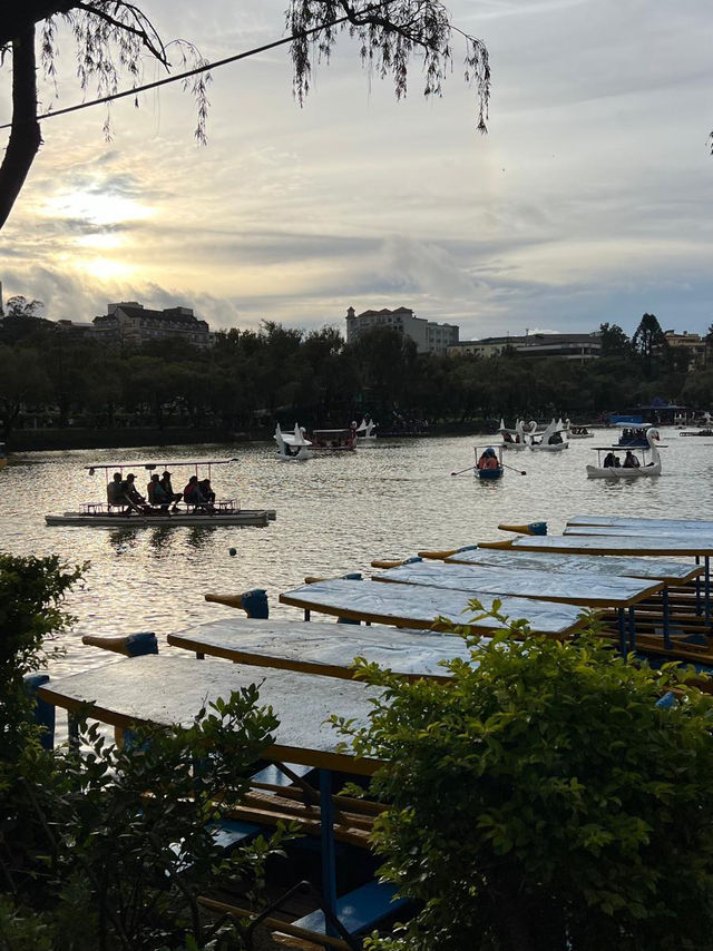 🌲✨ Breathe Easy at Burnham Park — The Heartbeat of Baguio 🚣‍♀️🌼  