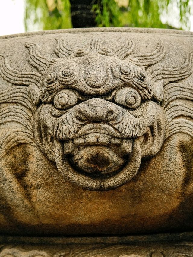 🌳Xi’an Parks: Serenity Amid Ancient City Walls 🏯✨