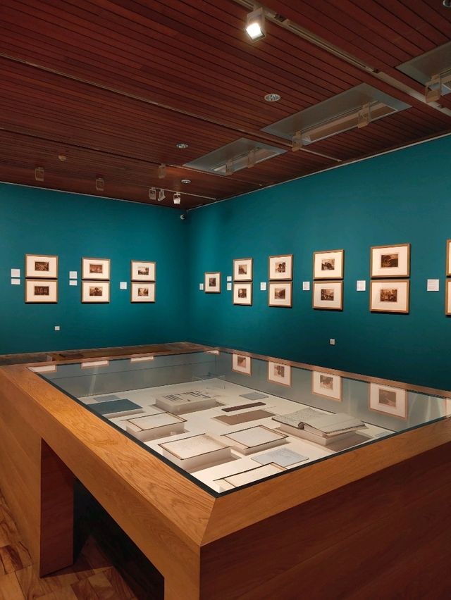 Whitworth’s Tree Gallery — Where Roots Speak and Branches Remember Whitworth’s Tree Gallery — Where Roots Speak and Branches Remember