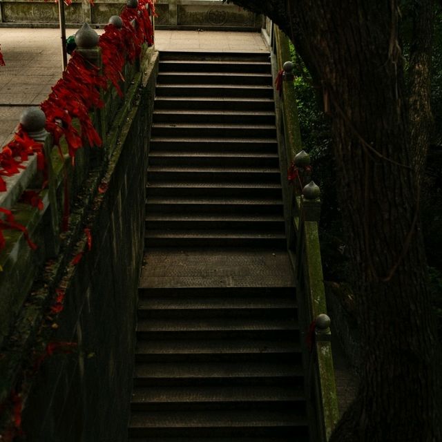 Climbing to Tranquility – The Stairway to Yushan’s Taoist Temple 🏯✨
