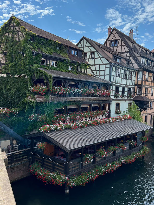 Summer Radiance in Strasbourg — Where Sunshine Meets Storybook Charm ☀️ Summer Radiance in Strasbourg — Where Sunshine Meets Storybook Charm ☀️