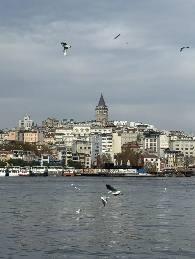 Day Trip Itinerary for Istanbul
