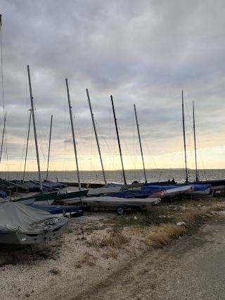 Samphire - A Kentish bistro in Whitstable 🍽️