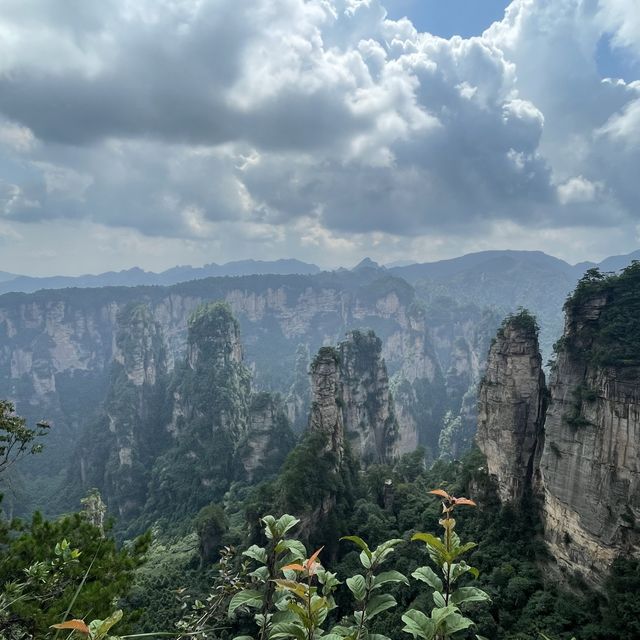 Zhangjiajie national park, Avatar world 