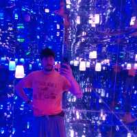 Van Gogh Immersive Experience, what a trip !