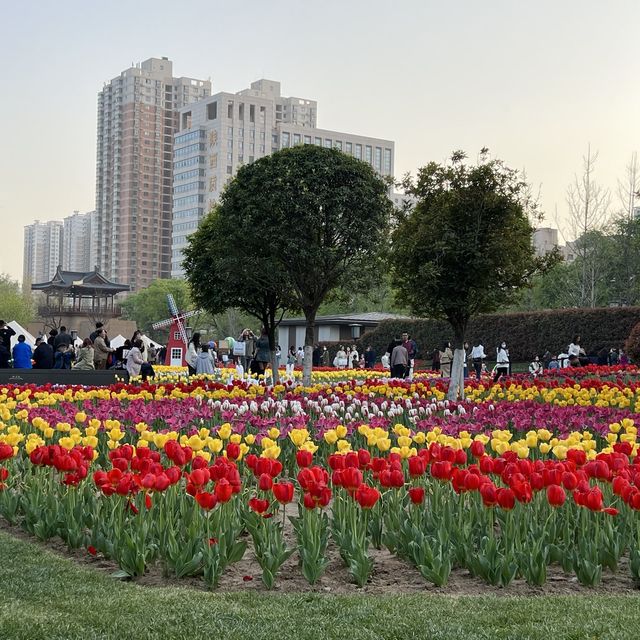 XingQing Palace Park 