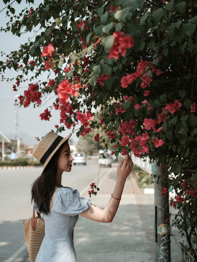 There is only one reason to go to Luang Prabang: collecting the blooming flowers on the streets.