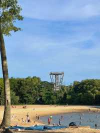 Singapore tourism, must-visit internet-famous coconut trees.