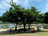 Dixin Lake picnic time!