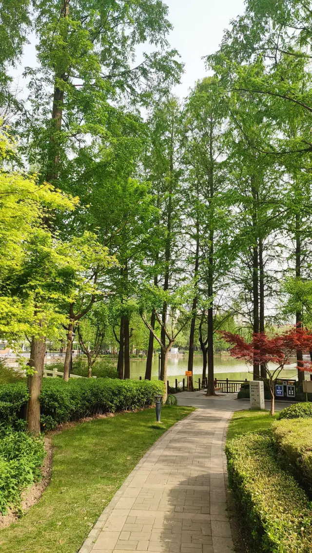 Pudong Jinqiao Park, the backyard of nearby residents, 30.