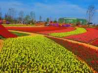 May Blossoms: Laimou Culture Town 🌸🌼🍃