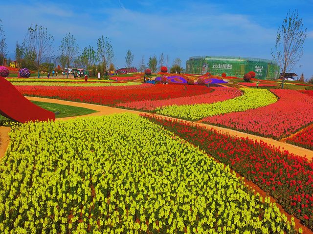 May Blossoms: Laimou Culture Town 🌸🌼🍃