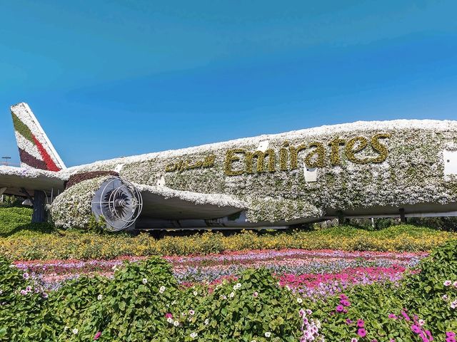 A Floral Oasis of Wonders! 🇦🇪