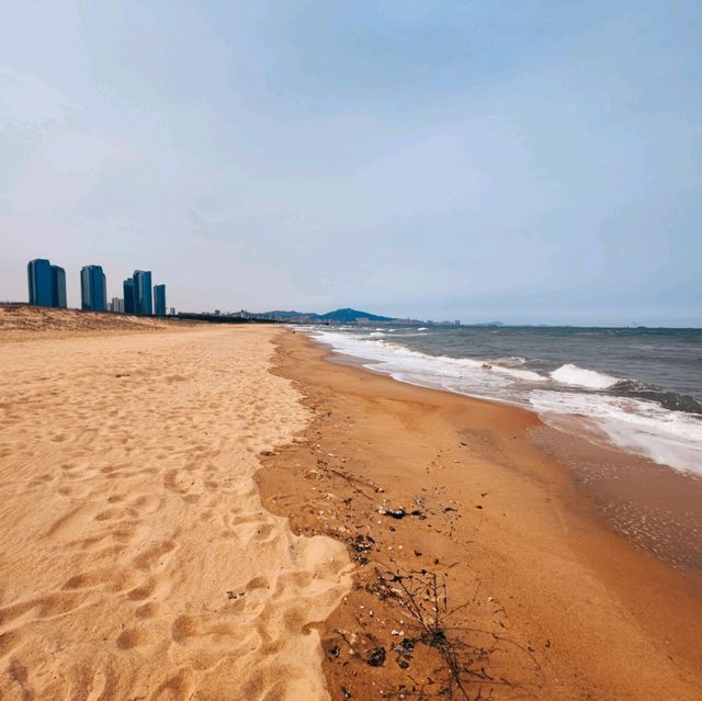Coastal Gem 💎 | Yantai