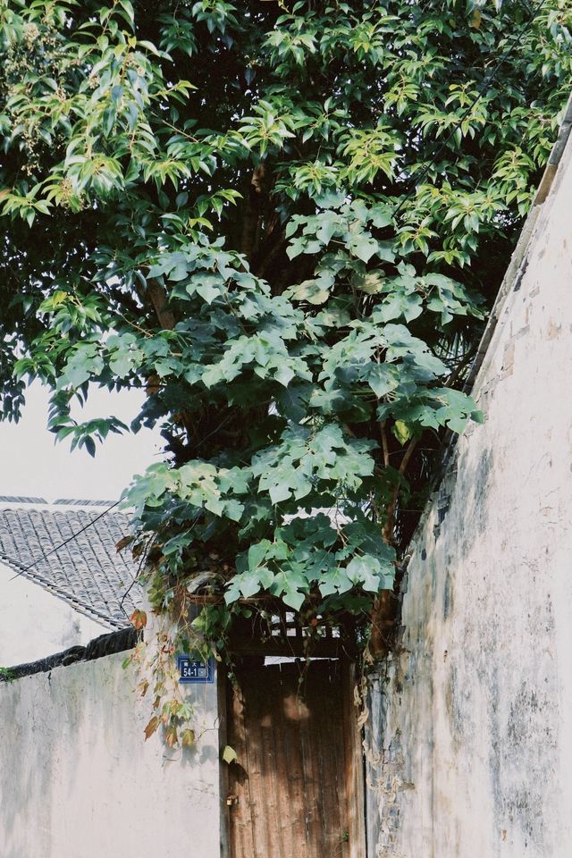 江南熱門古鎮遊玩丨錦溪古鎮