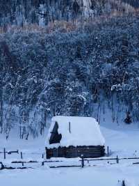 冰雪奇緣：新疆喀納斯的冬季童話之旅