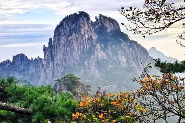 安徽黃山風景區：秋色漸濃景如畫