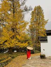 成都周邊的「小江南」秋景已達巔峰！！