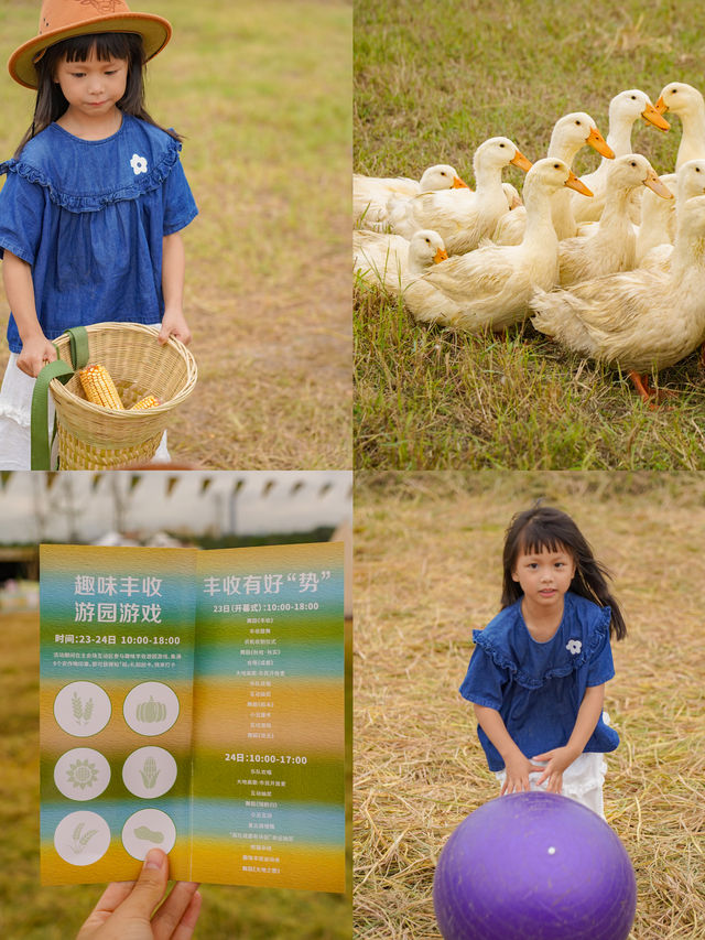 不用去大理！！成都公園就有童話稻田