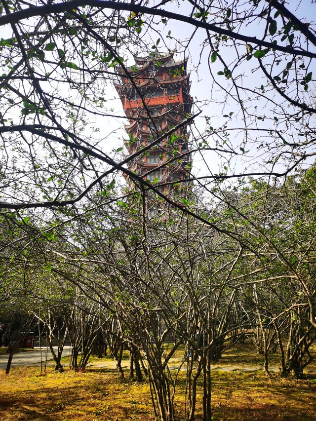 “錦繡天府第一樓”——九天樓