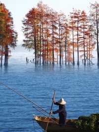 海鷗、日出、大海和紅杉樹，就是一整個浪漫……
