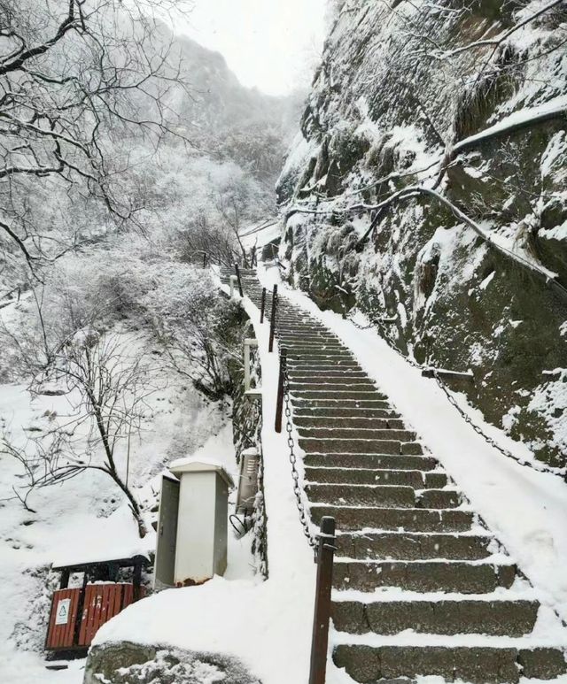 華山免門票啦，快衝啊，這潑天的富貴一定要接住