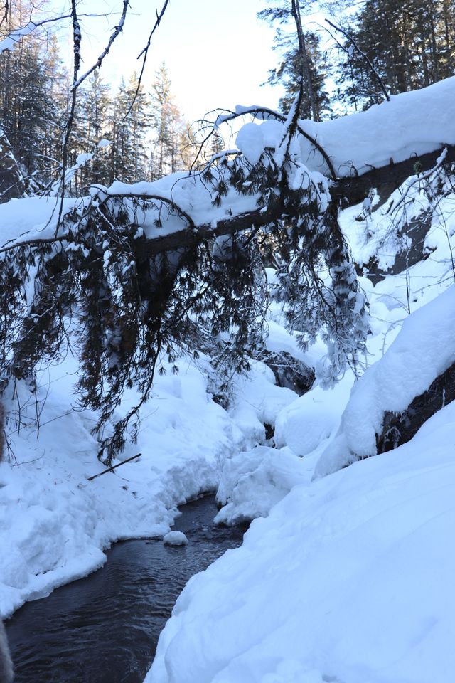 長白山超酷原生態探險體驗｜雪谷穿越、圍爐煮茶