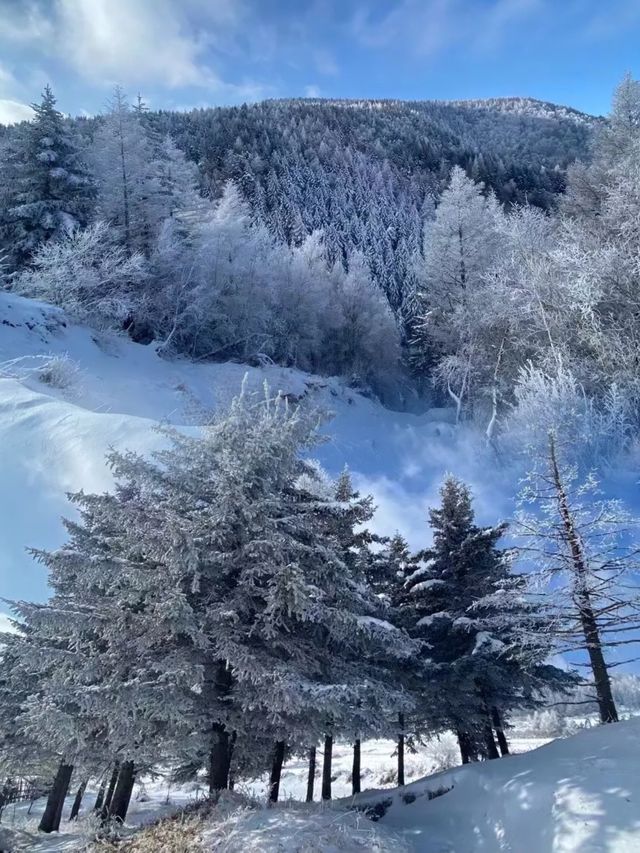 走進北方的香格里拉 | 山西的雪鄉蘆芽山