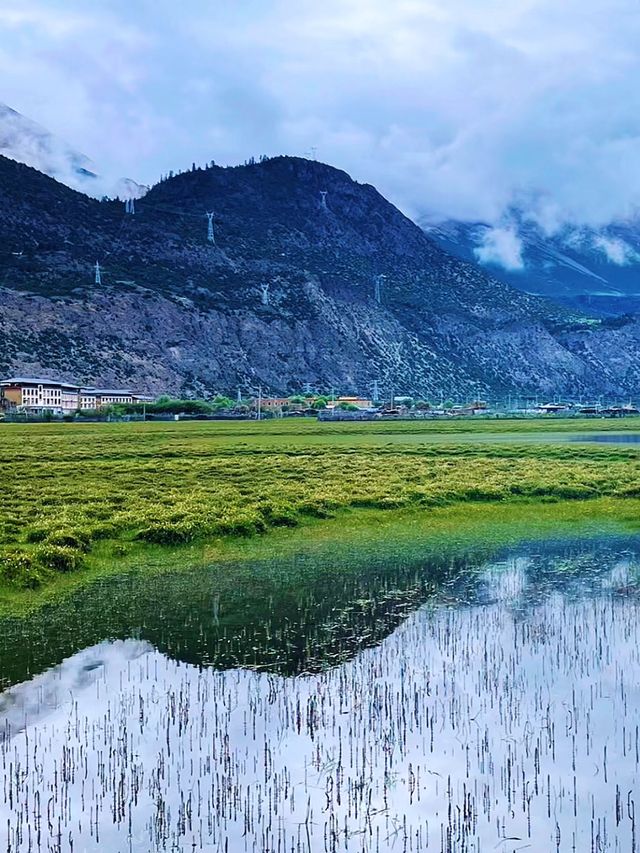 湖邊好景，坐忘雪山：然烏湖畔牧場晨景