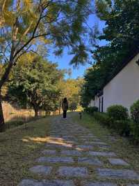 和蘇東坡一起打卡——惠州湯泉