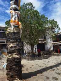 夏魯寺壁畫||日喀則旅行必打卡的小眾寺廟