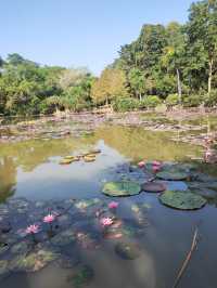 西雙版納|中科院西雙版納熱帶植物園省心攻略