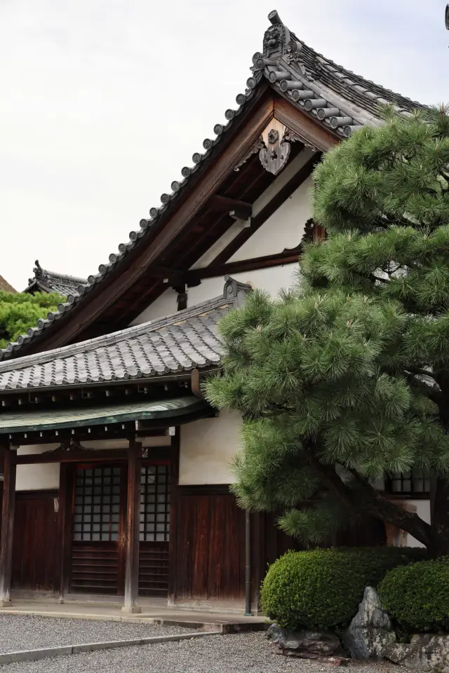 Uji Byodoin | Check-in at the back of the 10 yen coin 🪙 Full guide