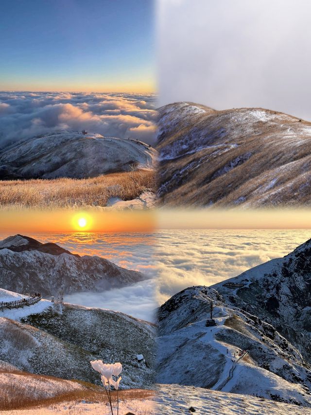 不是爾濱去不起，而且武功山雪景更有性價比