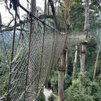 休閒遊，勐臘縣望天樹熱帶雨林國家公園