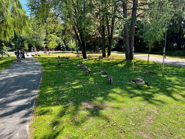 明纳努公園，列治文的綠色寶藏